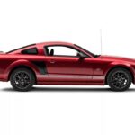 SpeedForm Side Scoops; Gloss Black