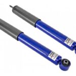 Roush Rear Shocks